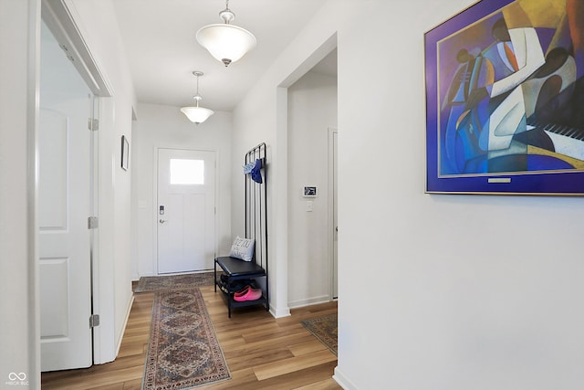 entryway with wood-type flooring