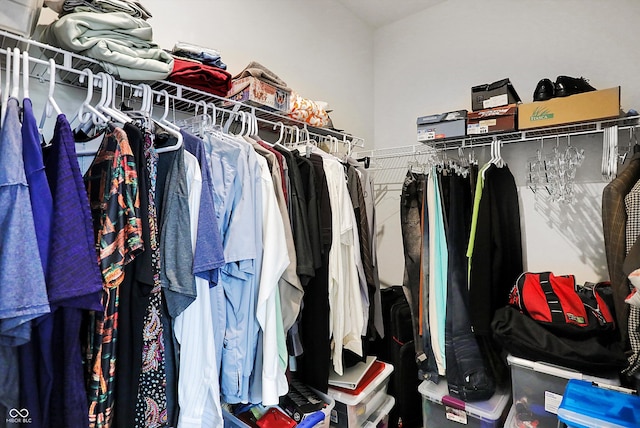 view of spacious closet