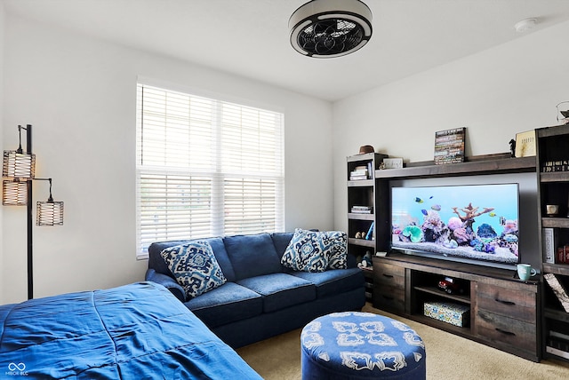 living room with carpet floors