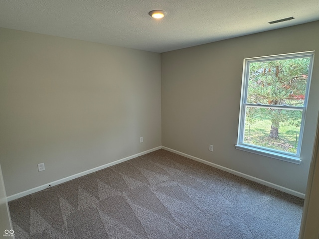 carpeted spare room featuring a textured ceiling and a wealth of natural light