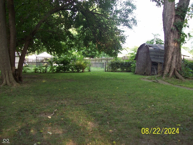 view of yard featuring a storage shed