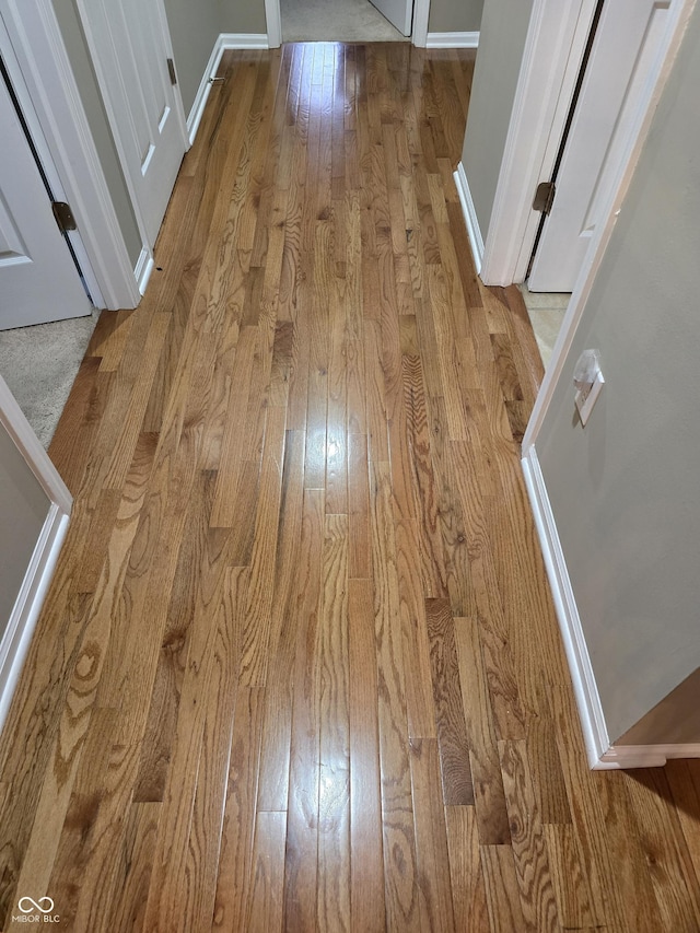 interior details featuring baseboards and wood finished floors