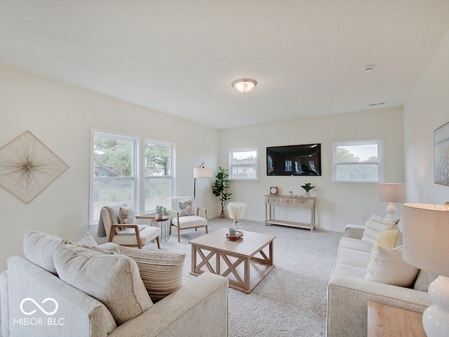 living area featuring carpet, a healthy amount of sunlight, and baseboards