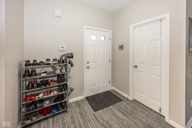 entrance foyer with dark hardwood / wood-style flooring