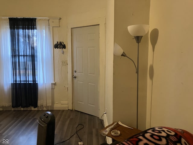 entryway featuring dark hardwood / wood-style flooring