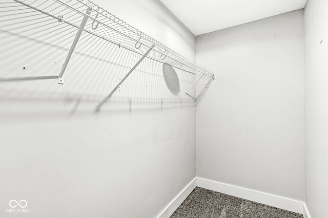 spacious closet featuring carpet