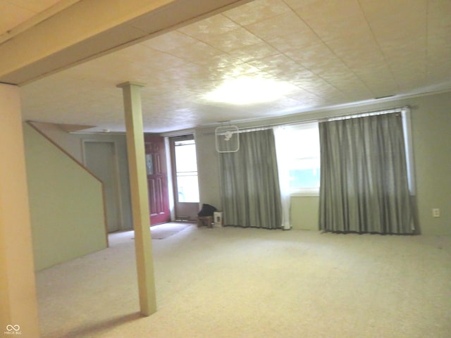 basement featuring carpet