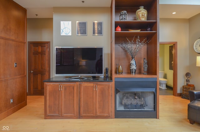 living room with light hardwood / wood-style flooring