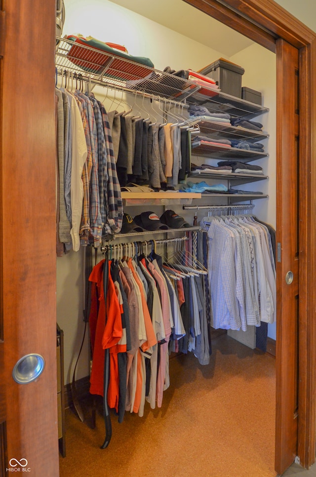 view of closet