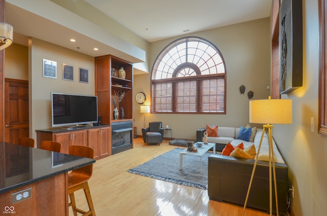 living room featuring light hardwood / wood-style flooring