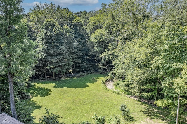 view of yard featuring a wooded view