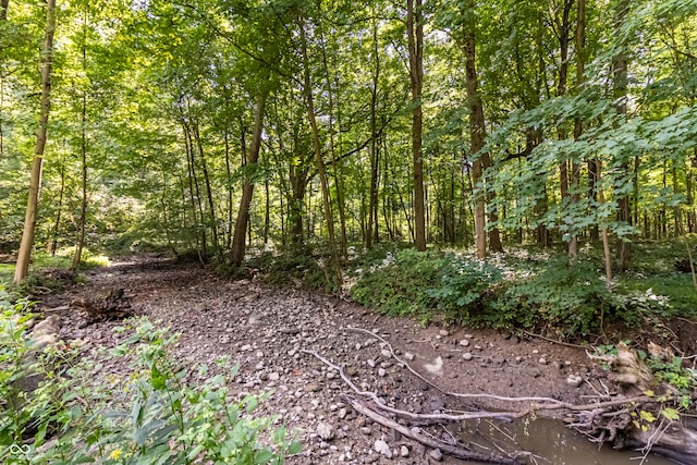 view of local wilderness