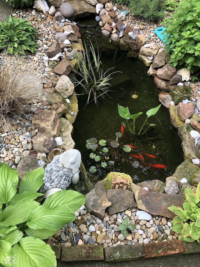 exterior details with a small pond