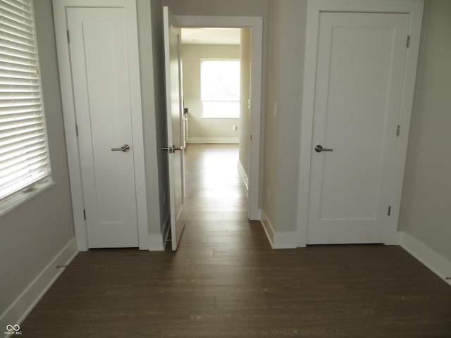 hall featuring dark hardwood / wood-style flooring