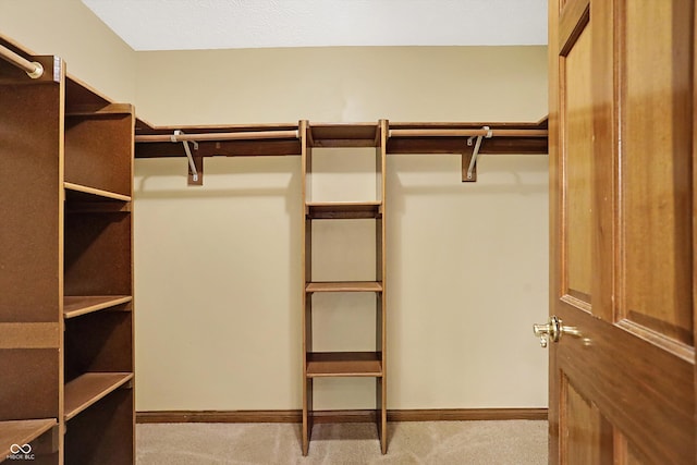 spacious closet featuring light carpet