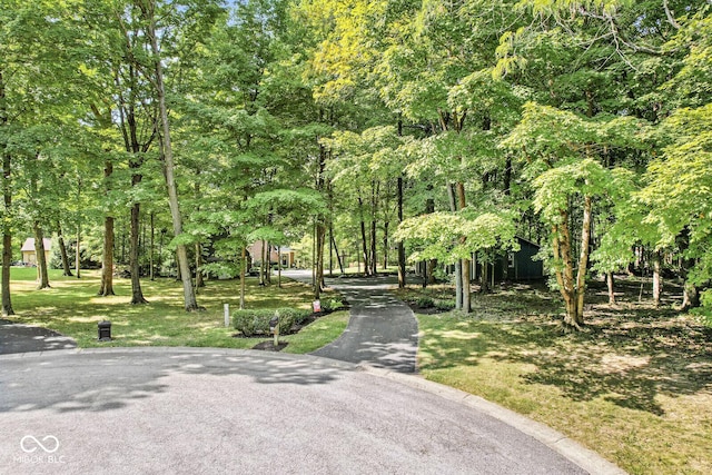 69 Forest Hollow Dr, Cicero, IN 46034 - photo 13