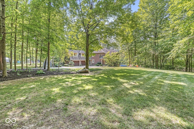 69 Forest Hollow Dr, Cicero, IN 46034 - photo 10