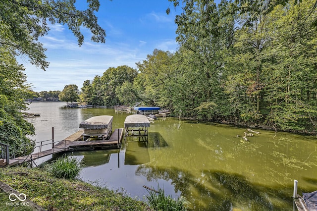 69 Forest Hollow Dr, Cicero, IN 46034 - photo 70