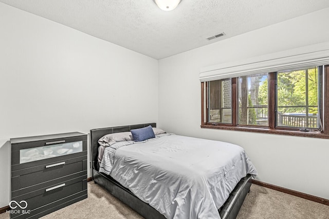 69 Forest Hollow Dr, Cicero, IN 46034 - photo 61