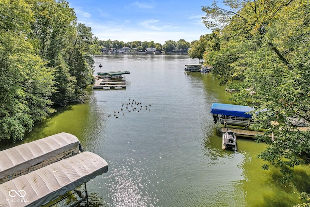 69 Forest Hollow Dr, Cicero, IN 46034 - photo 91