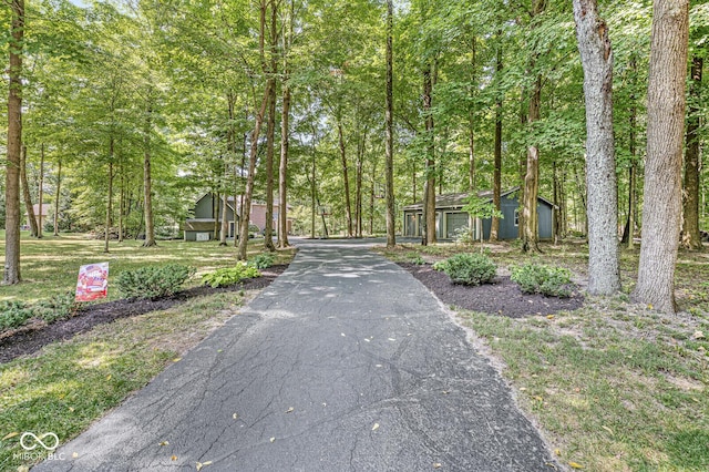 69 Forest Hollow Dr, Cicero, IN 46034 - photo 11