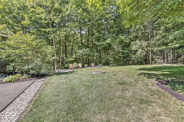 69 Forest Hollow Dr, Cicero, IN 46034 - photo 8