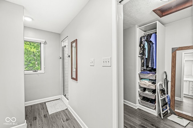 69 Forest Hollow Dr, Cicero, IN 46034 - photo 52
