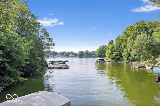 69 Forest Hollow Dr, Cicero, IN 46034 - photo 84