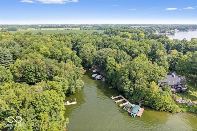 69 Forest Hollow Dr, Cicero, IN 46034 - photo 86