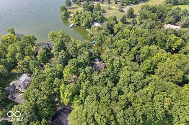 69 Forest Hollow Dr, Cicero, IN 46034 - photo 88