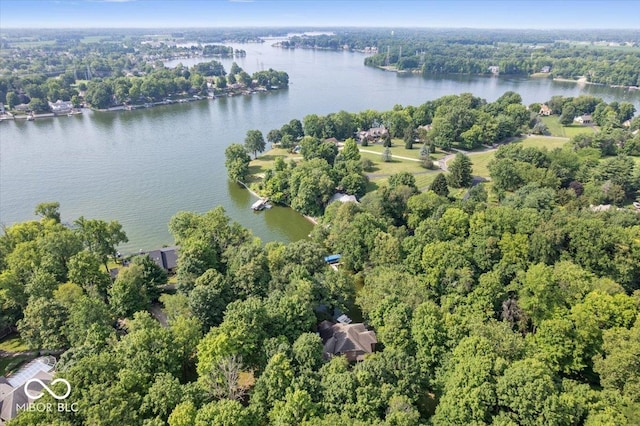 69 Forest Hollow Dr, Cicero, IN 46034 - photo 87