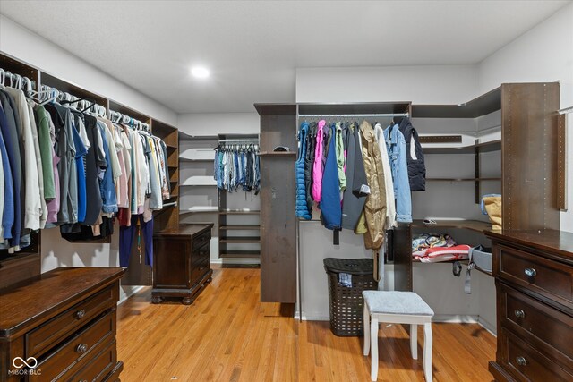 spacious closet with light hardwood / wood-style flooring