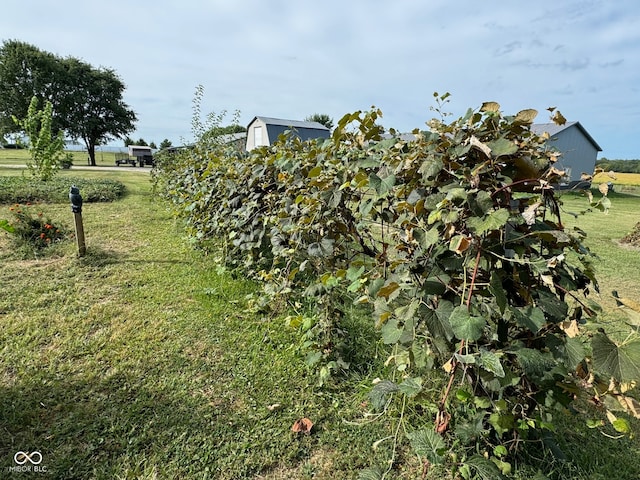 view of yard featuring a rural view