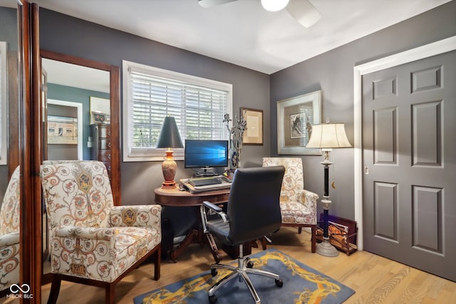 office featuring light hardwood / wood-style flooring and ceiling fan