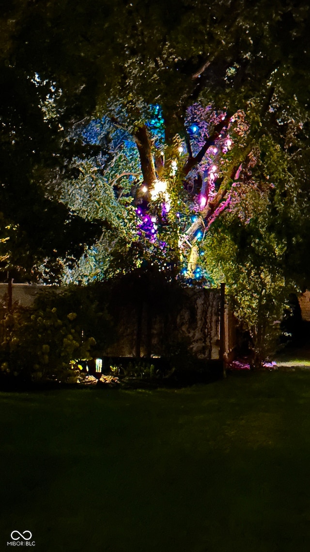 view of yard at twilight