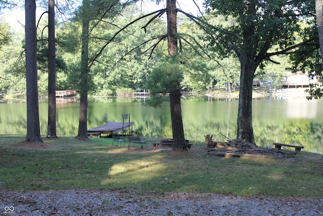 water view with a dock