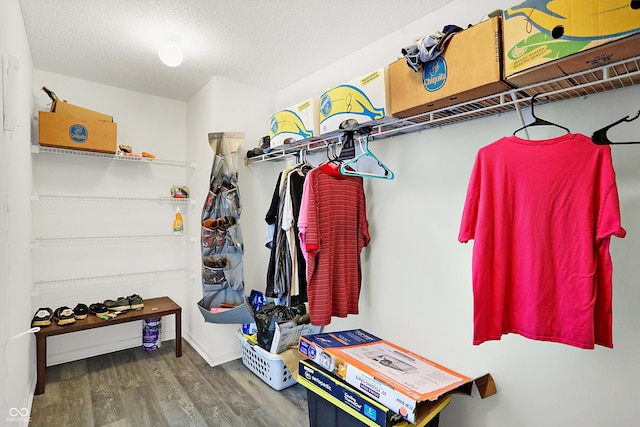 spacious closet with hardwood / wood-style floors