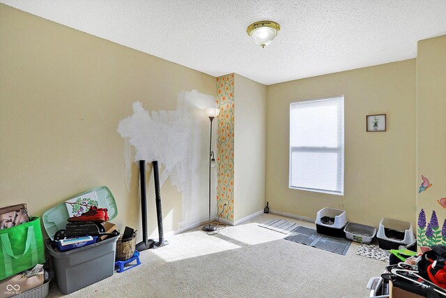 miscellaneous room featuring a textured ceiling and carpet floors