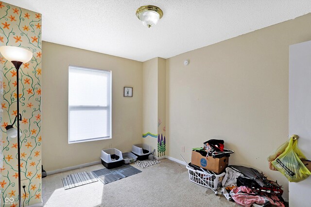 miscellaneous room with carpet and a textured ceiling