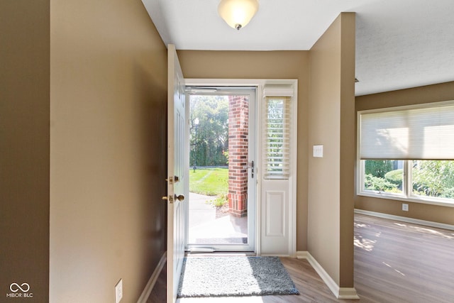 entrance foyer featuring light wood-type flooring and plenty of natural light