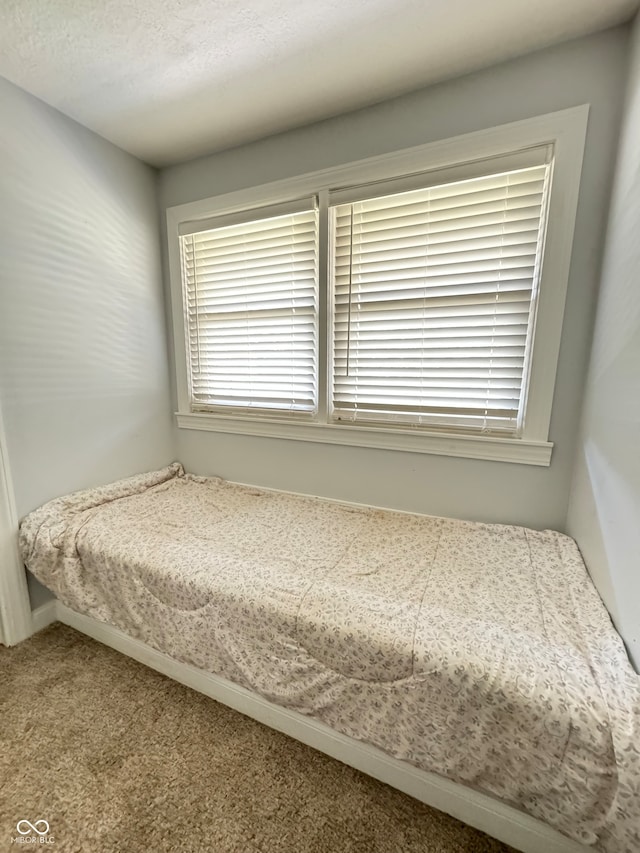 unfurnished bedroom with a textured ceiling and carpet floors