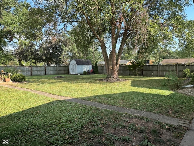 view of yard featuring a shed