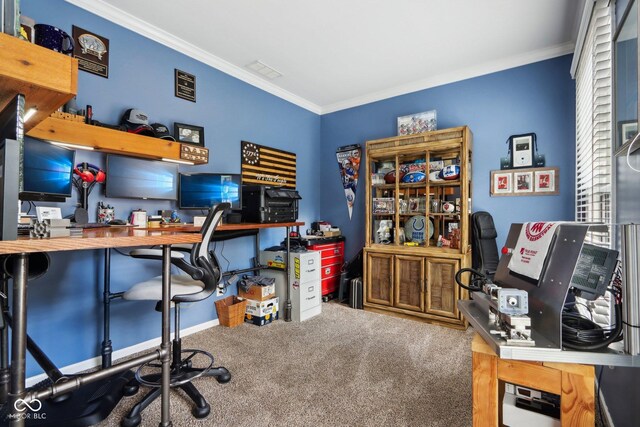 home office with crown molding and carpet floors