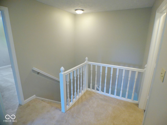 staircase with carpet flooring