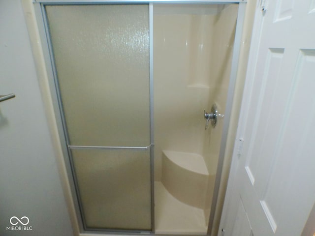 bathroom with a shower with shower door