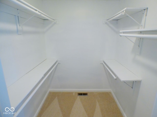 walk in closet featuring carpet floors