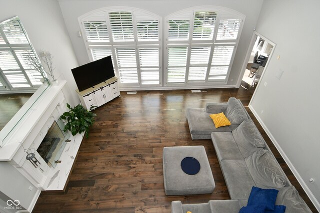 living room with dark hardwood / wood-style floors