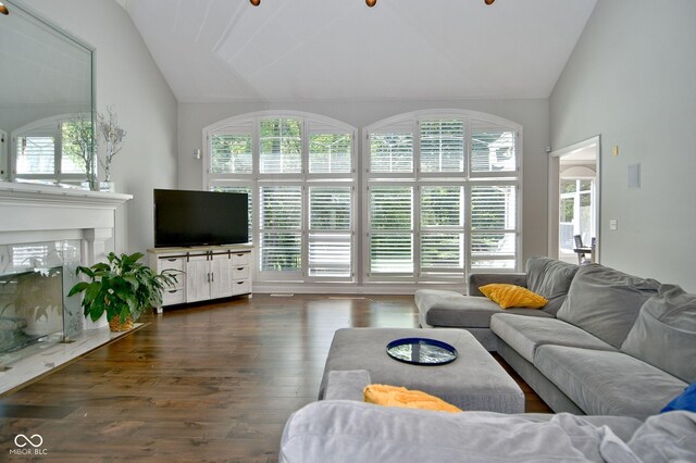 living room with a healthy amount of sunlight, a high end fireplace, and dark wood-type flooring