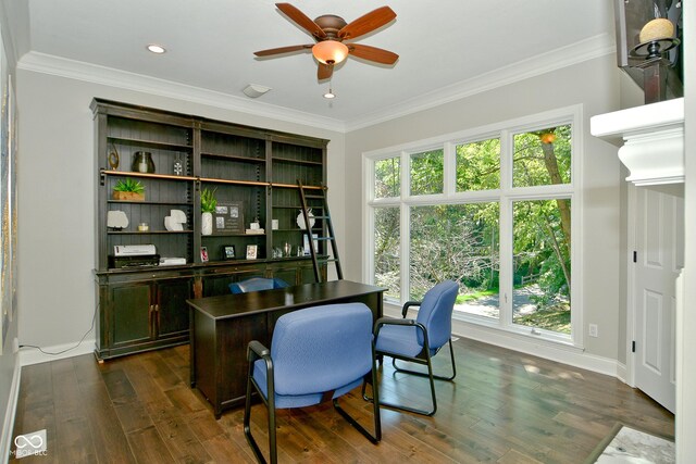 office featuring ornamental molding, dark wood-type flooring, and ceiling fan