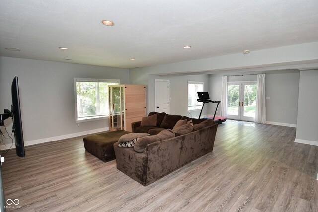 living room featuring french doors and light hardwood / wood-style floors